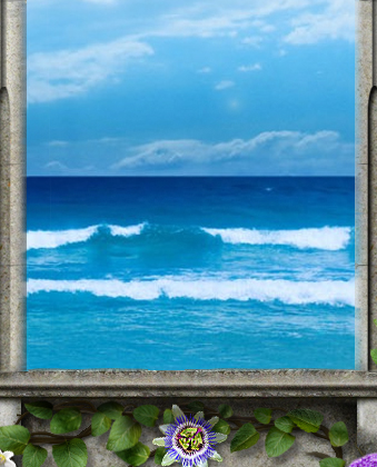 Sunshine Coast Beach Photo