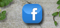Visit our Facebook page